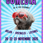 Festival Comedia